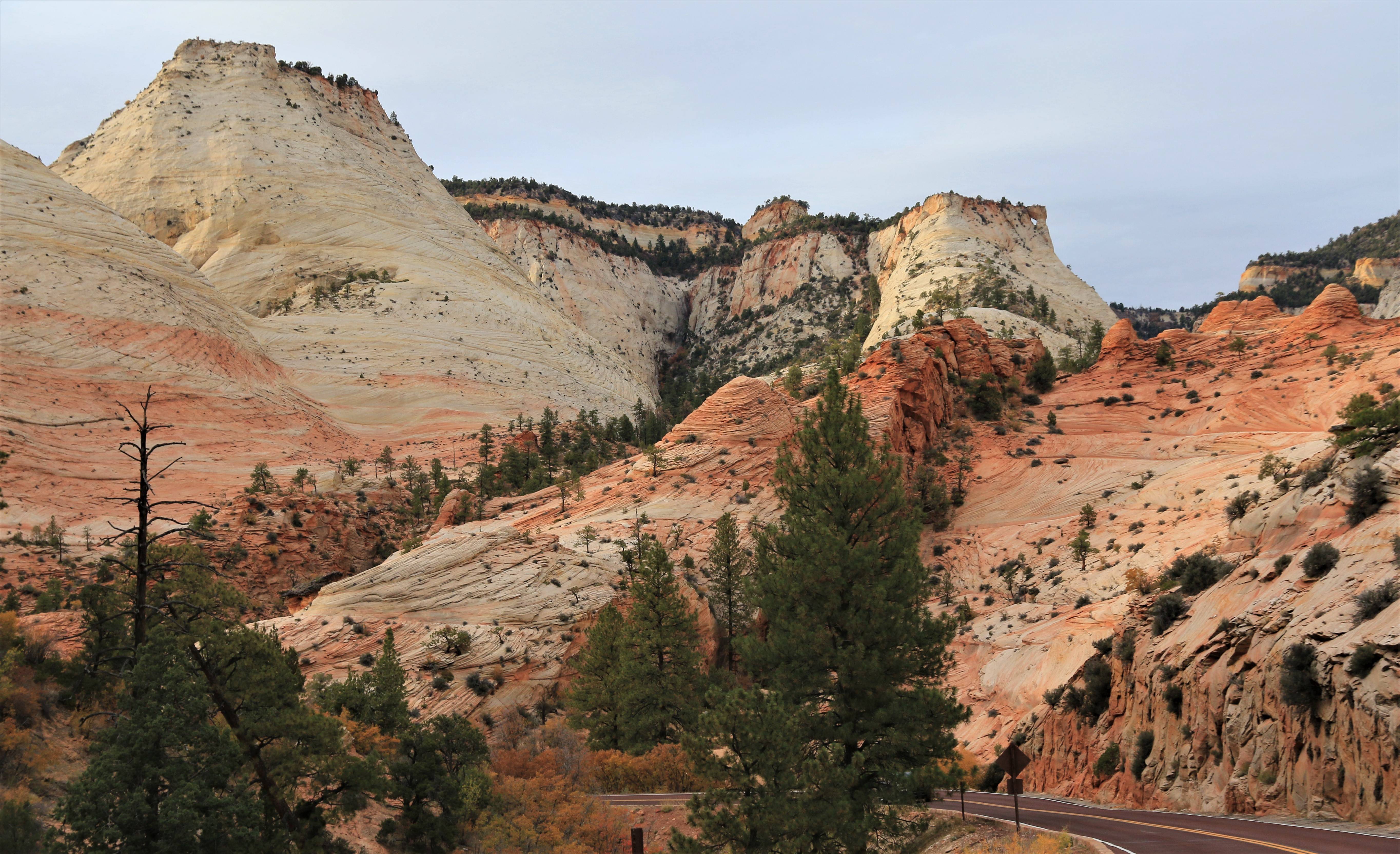 Zion NP